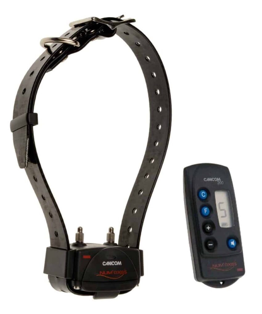Kit Collier d’éducation Canicom 200 – 200m - Vue principale