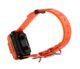 Télécommande et colliers de dressage Canicom R-1500 - Vue 4