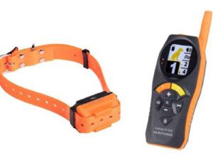 Télécommande et colliers de dressage Canicom R-1500