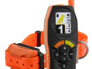 Télécommande et colliers de dressage Canicom R-500