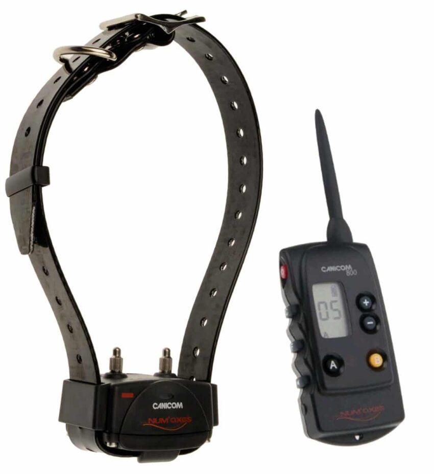 Kit Collier d’éducation Canicom 800 – 800m - Vue principale