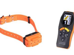 Télécommande et colliers de dressage Canicom R-800