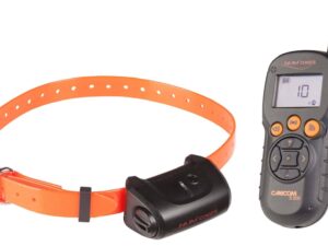Kit Collier d'éducation Canicom 5.500 - 500m
