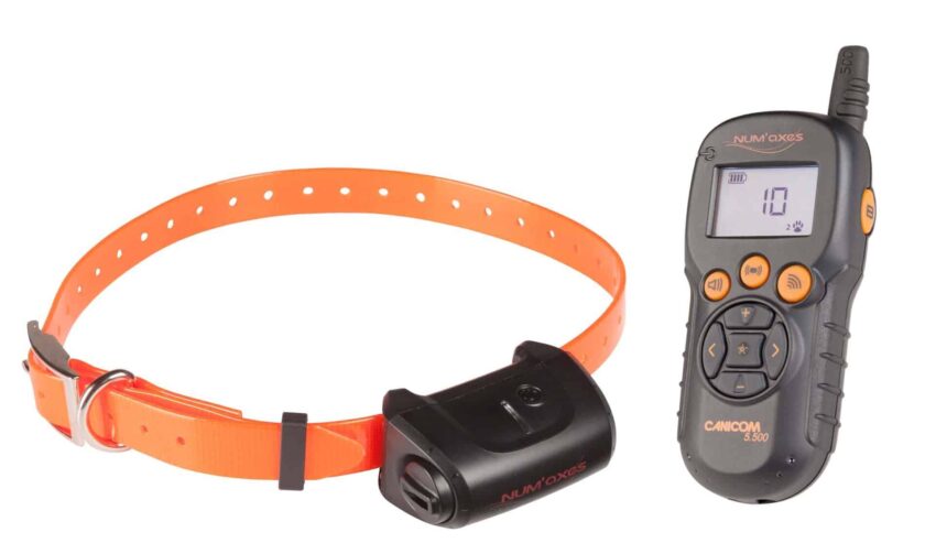 Kit Collier d’éducation Canicom 5.500 – 500m - Vue principale