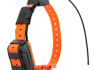 Canicom Collier GPS seul