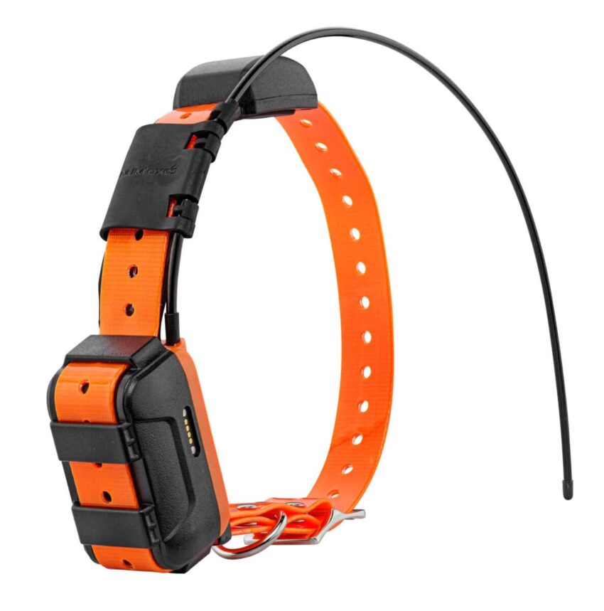 Canicom Collier GPS seul - Vue principale