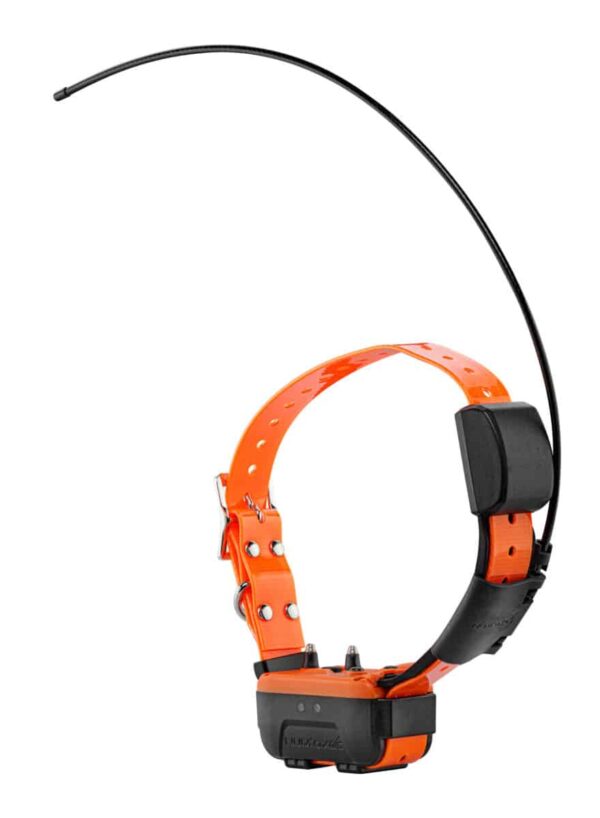 Canicom Collier GPS seul – Image 5