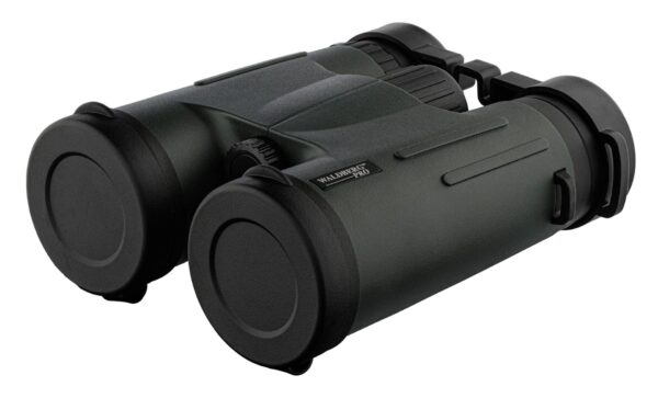 Jumelles Waldberg Pro 8 x 42 ED – Image 2