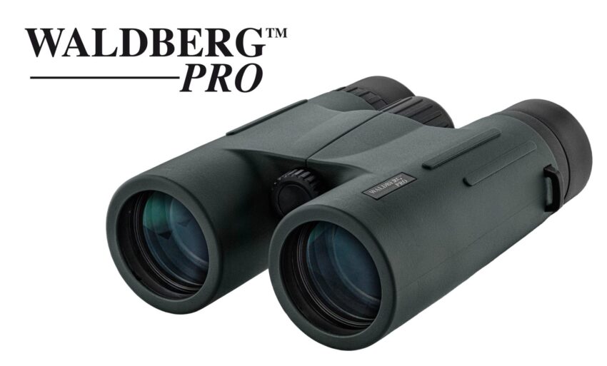 Jumelles Waldberg Pro 10 x 42 ED - Vue principale