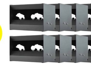 Pack Cible mobile silhouettes Sangliers pour air comprimé calibre 4.5 mm (x10)
