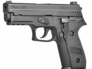 Réplique GBB PROFORCE P229 Gaz 1,0J
