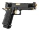 Réplique GBB Hi-capa 5.1 Gold Match Gaz - Vue 1