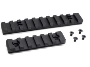 Kit Rail pour AAP-01 Assassin