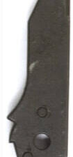 Chien mossberg