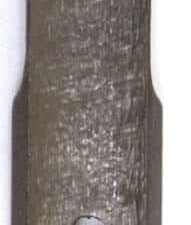 Nez silma
