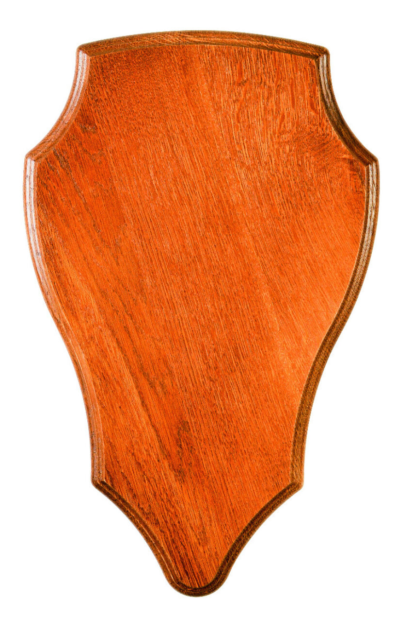 Ecusson Januel en chêne doré pour cerf de 420mm x 280mm - Vue principale