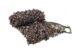 Filet de Camouflage Camosystems specialist – 3 m x 6 m - Vue principale