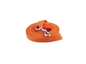Laisse sangle 5m
