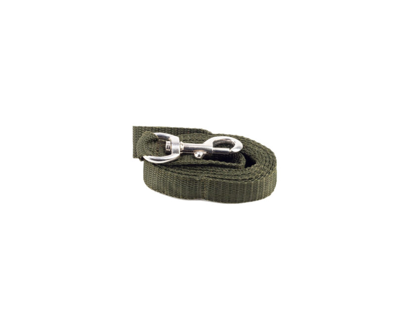 Laisse Sangle Verte 1,50m - Vue principale