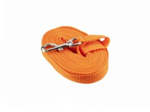 Longe Sangle 10 m Orange