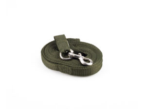 Longe/Sangle Verte de 10m