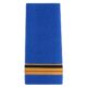 Fourreaux plastifies Grade brigadier chef principal - Vue principale