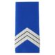Fourreaux plastifies Grade gardien principal - Vue principale
