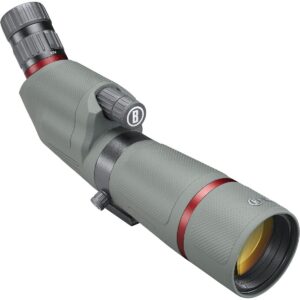 Lunette terrestre Bushnell nitro 20-60x65 coudée