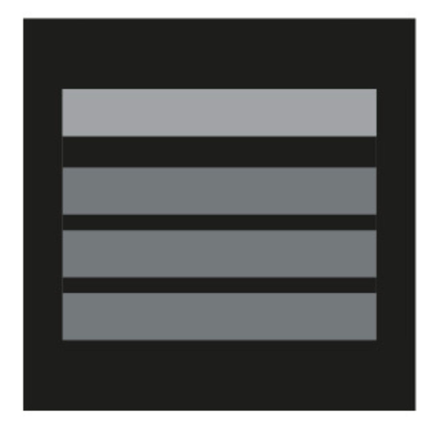 Grade velcro 5×5 basse visibilité – directeur stagiaire - Vue principale