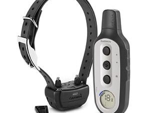 Collier de dressage Garmin delta xc