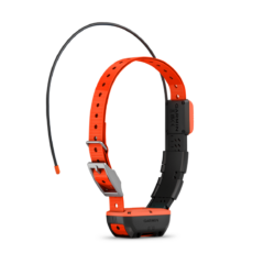 Collier De Suivi Garmin T20F
