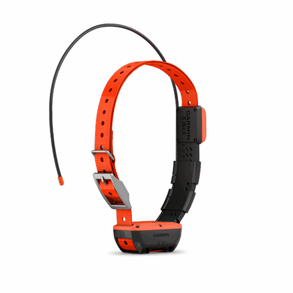Collier De Suivi Garmin T20F