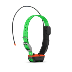 Collier De Suivi Et De Dressage Garmin Tt™25F