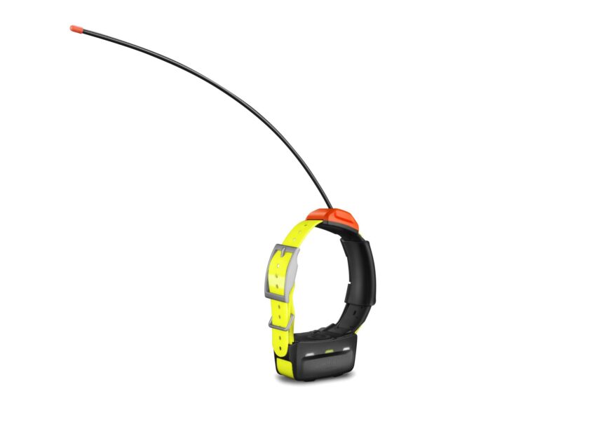 Collier de suivi Garmin t™ 5 – version F - Vue principale