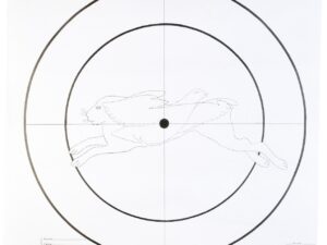 Lot de 100 Cibles d'essai Fusil 90x90