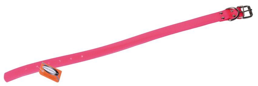 Collier biothane biogold Rose long 55cm largeur 25mm - Vue principale