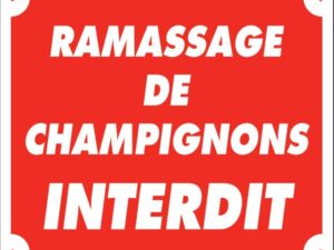 Panneau ramassage de champignons interdit - 25X30 cm