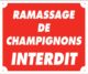 Panneau ramassage de champignons interdit – 25X30 cm - Vue principale