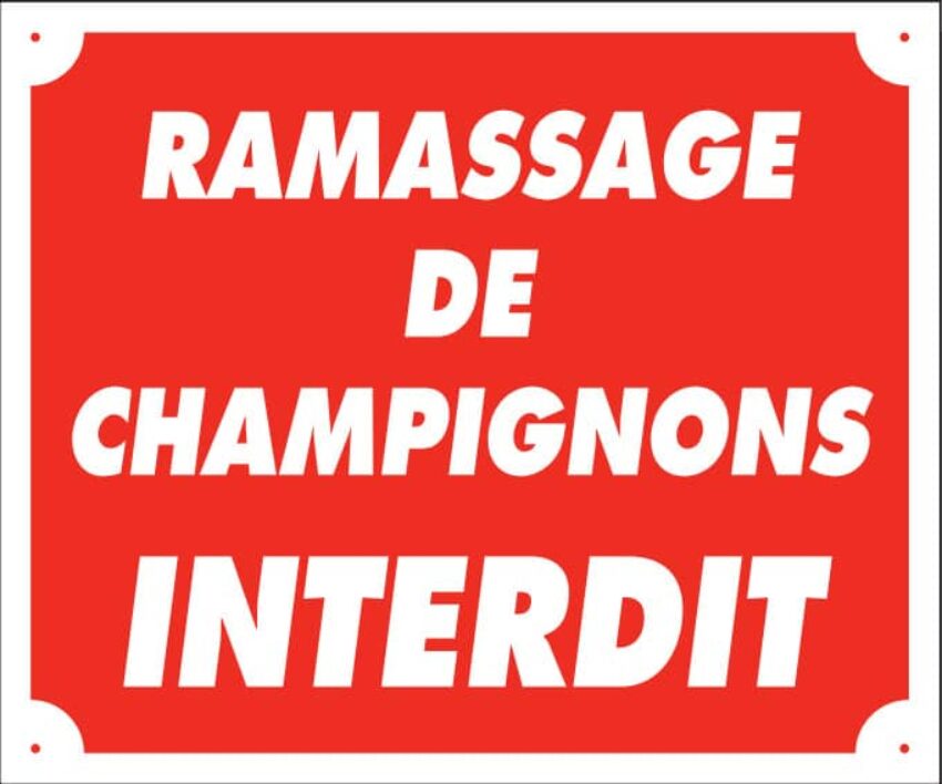 Panneau ramassage de champignons interdit – 25X30 cm - Vue principale