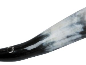 Corne d'appel en corne de 33 cm