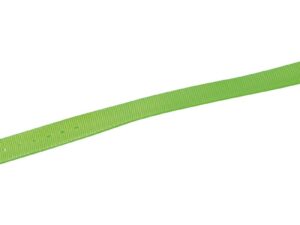 Collier fluo souple pu + polyester Vert