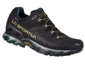 Ultra Raptor II Cuir Large GTX