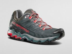 Ultra Raptor II Cuir Femme GTX