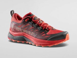 Jackal II Femme Gtx