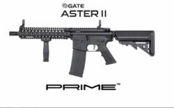 REPLIQUE LONGUE 6MM SA-P19 DANIEL DEFENSE ASTER II NOIRE