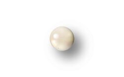 GUIDON BLANC OVALE M2.6 D4