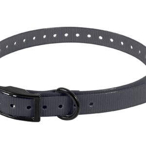 SANGLE POUR COLLIER ELECTRONIQUE 650X19X2MM NOIR