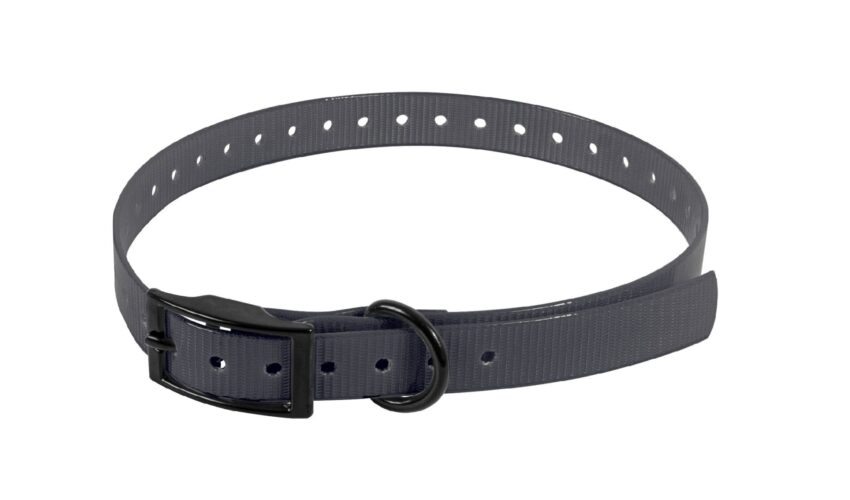 SANGLE POUR COLLIER ELECTRONIQUE 650X19X2MM NOIR - Vue principale