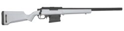 REPLIQUE LONGUE 6MM STRIKER AS01 RESSORT BLANC
