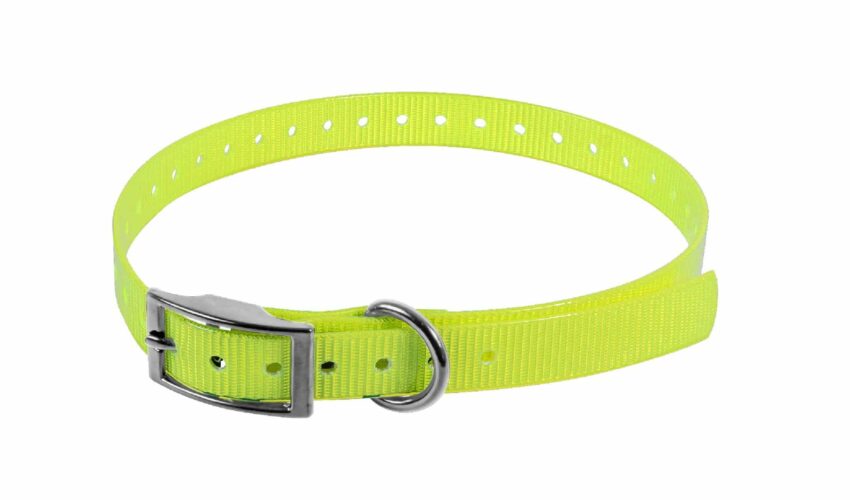 COLLIER BIOTHANE BIOGOLD 450X19X2.6 JAUNE - Vue principale